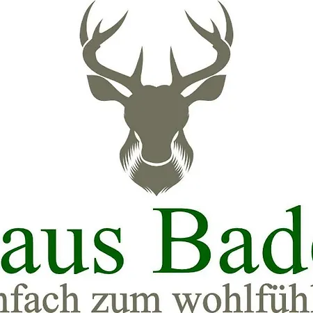 Haus Bader * Виллинген